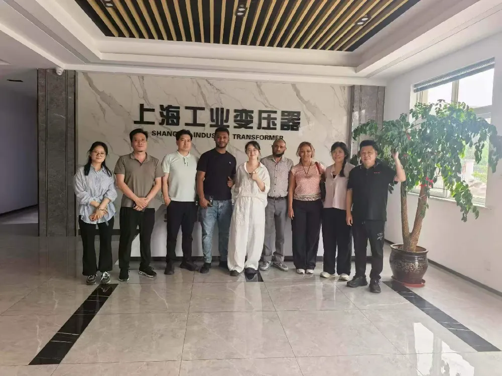 Varmt välkomna! Etiopisk delegation besöker Shanghai Industrial Transformer Co., Ltd. för utbyte av transformatorer och kraftdistributionsutrustning